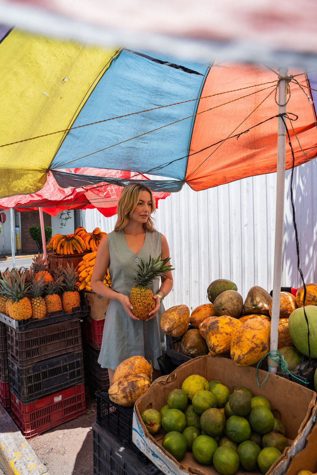 Marcy Mini Dress in Sage Linen