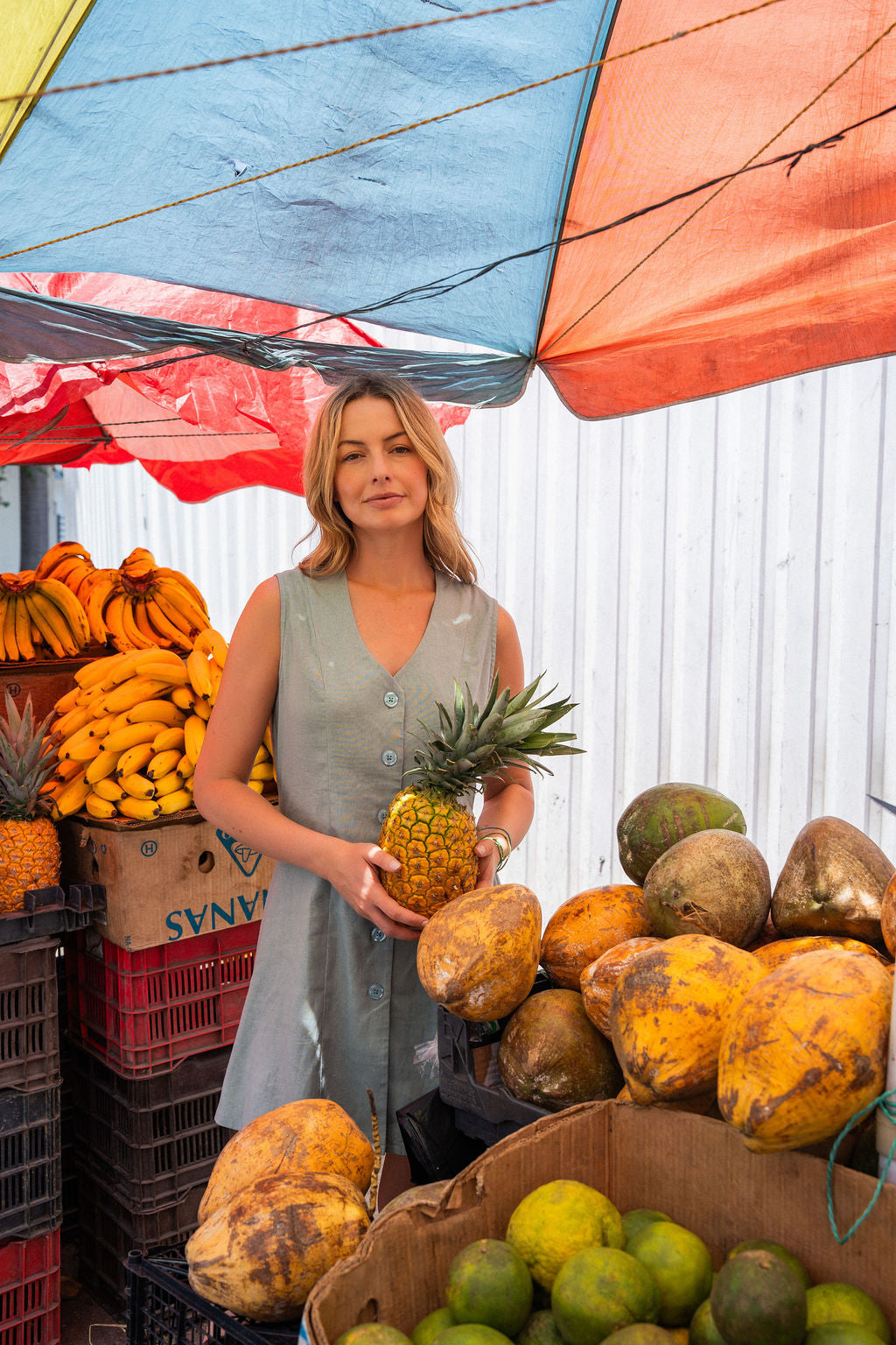 Marcy Mini Dress in Sage Linen