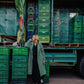 Portuguese Wool Polly Coat in Green and White Check Made to Order