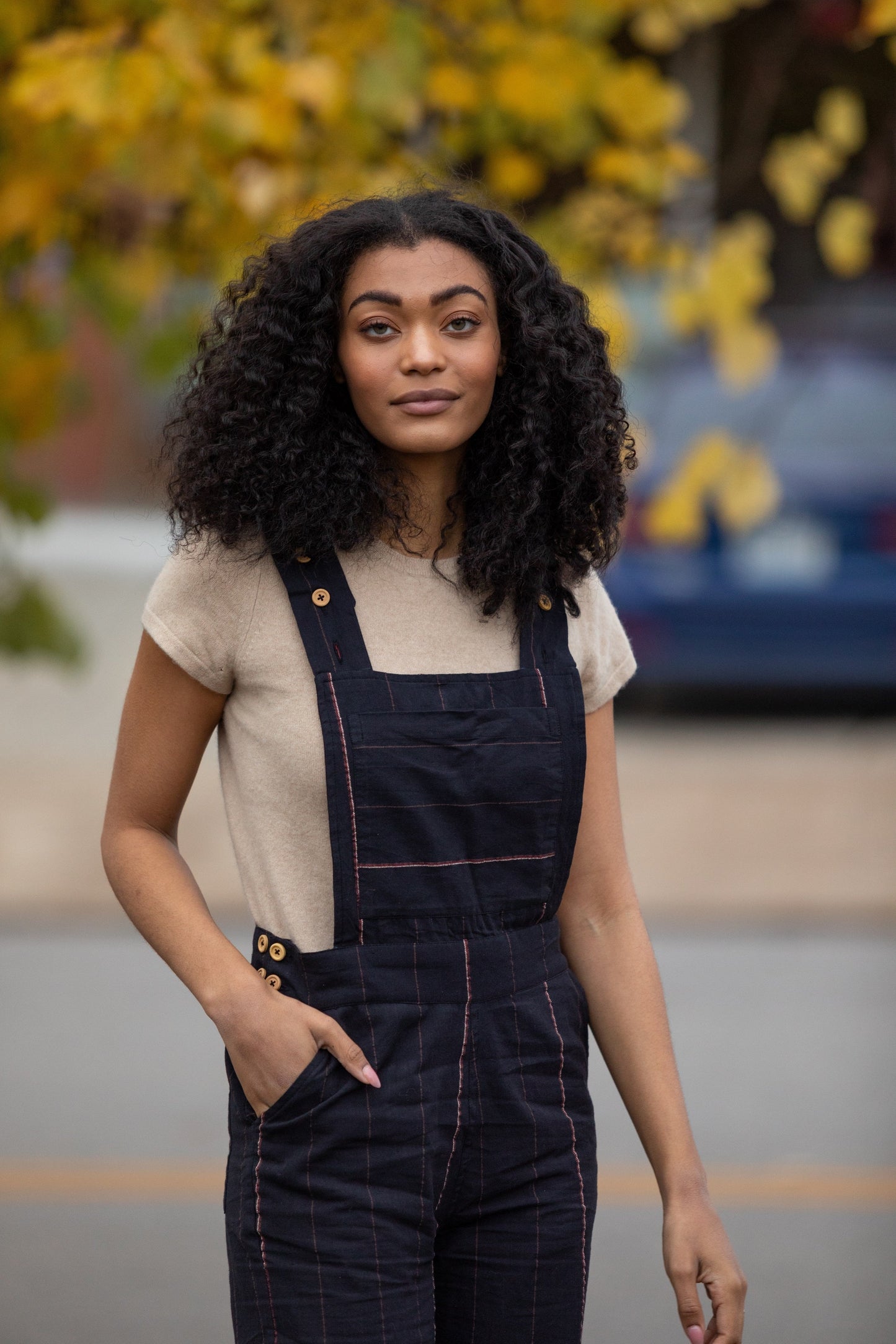 Dilsi Handwoven Cotton Overalls in Navy - Pre-Order 2/30