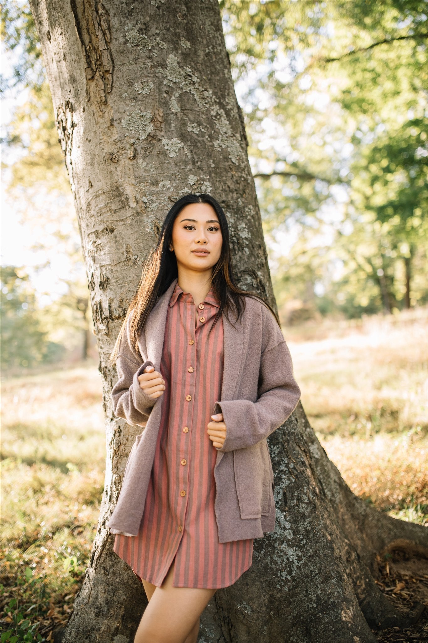 Paige Handwoven Cotton Relaxed Shirt Dress in Mauve and Dust Stripe - Pre-Order 2/30